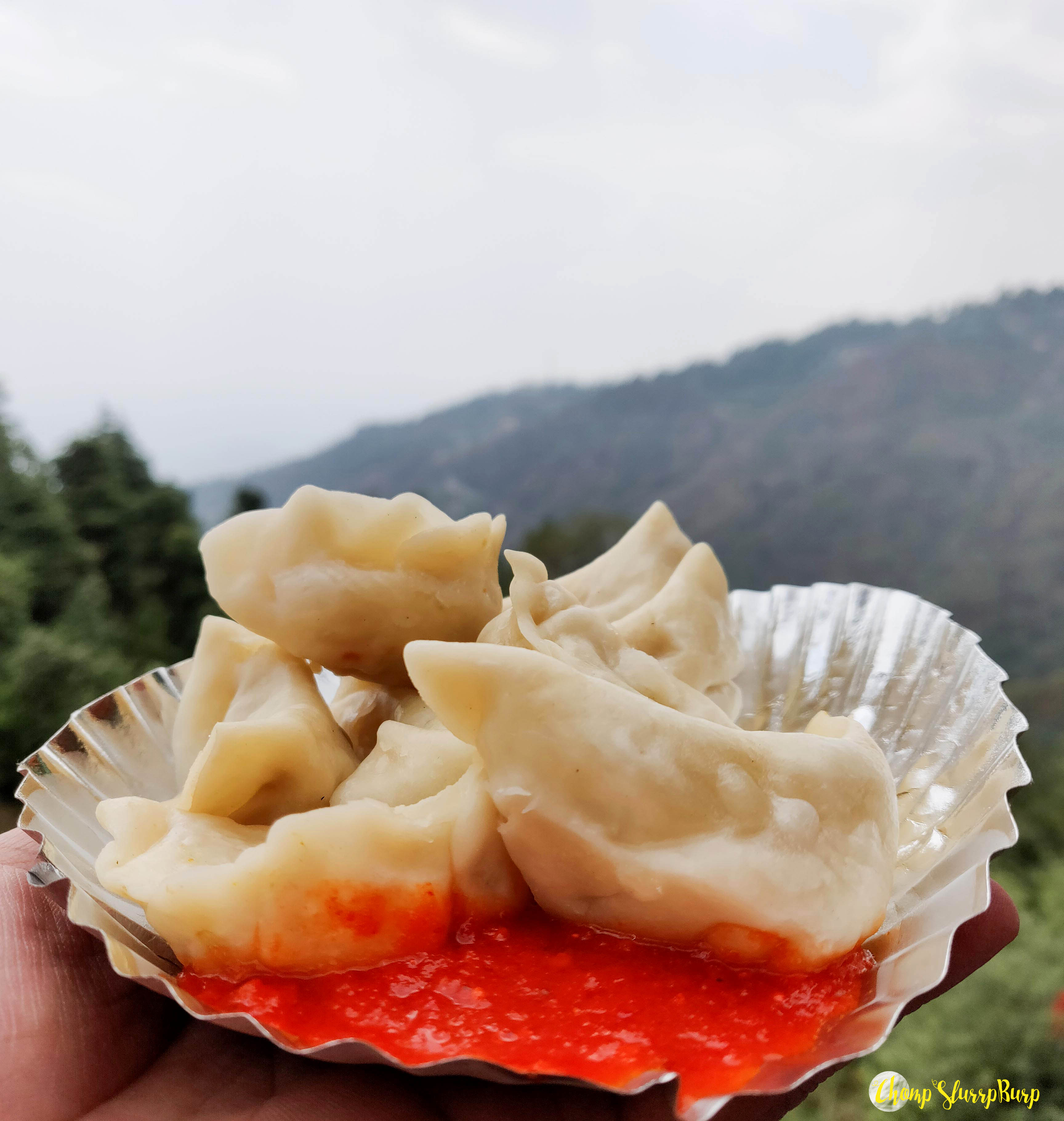 Steamed chicken momos Mcleodganj