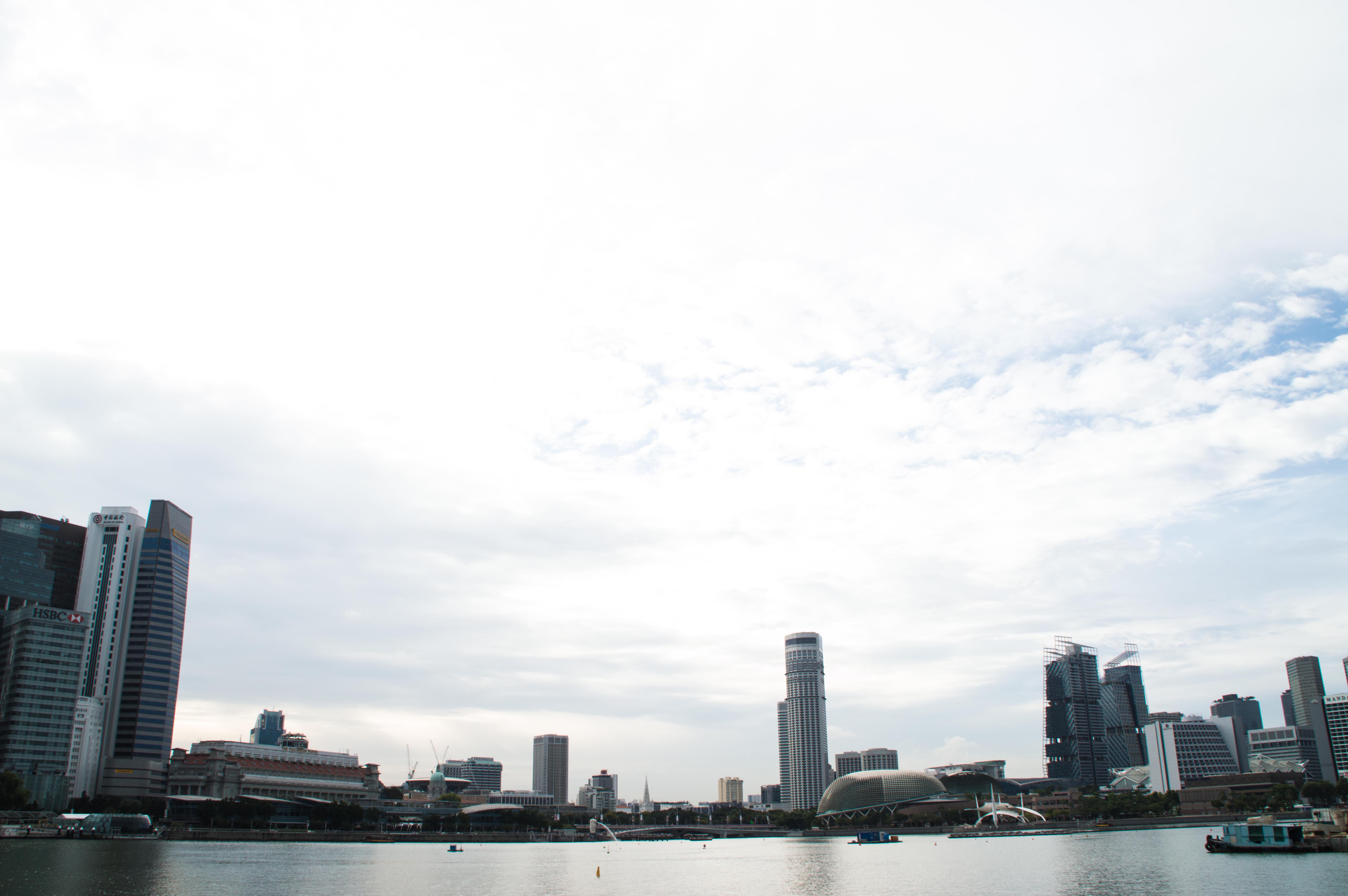 Singapore Skyline