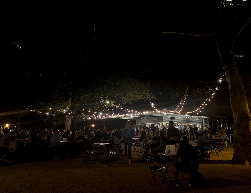 shake shack - eat in nyc