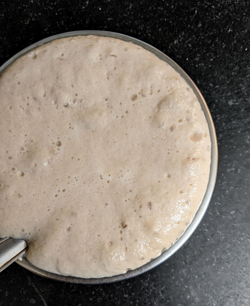 pizza dough - activated yeast