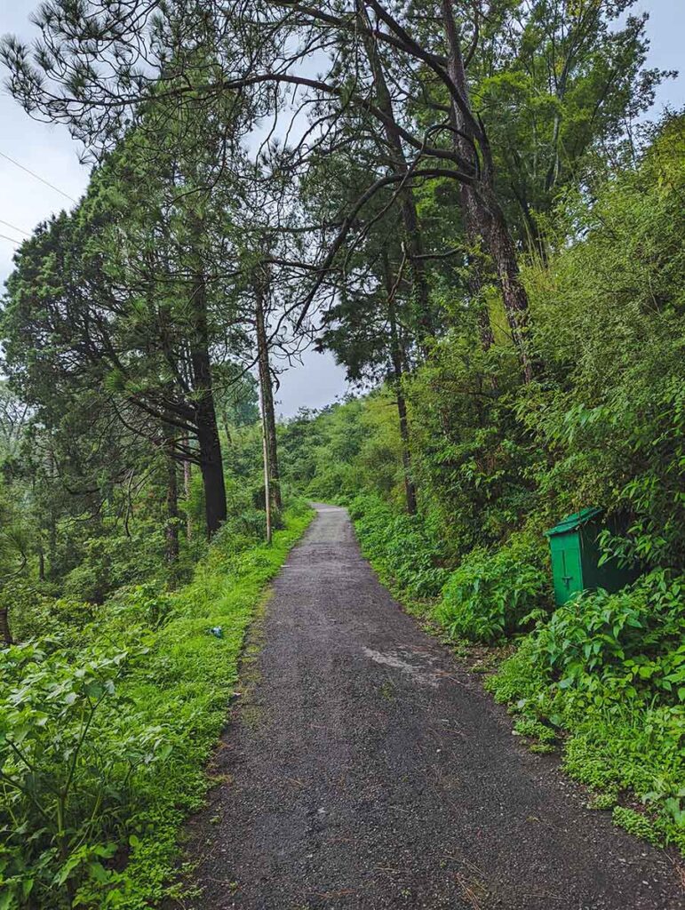 things to do in kasauli - gilbert trail