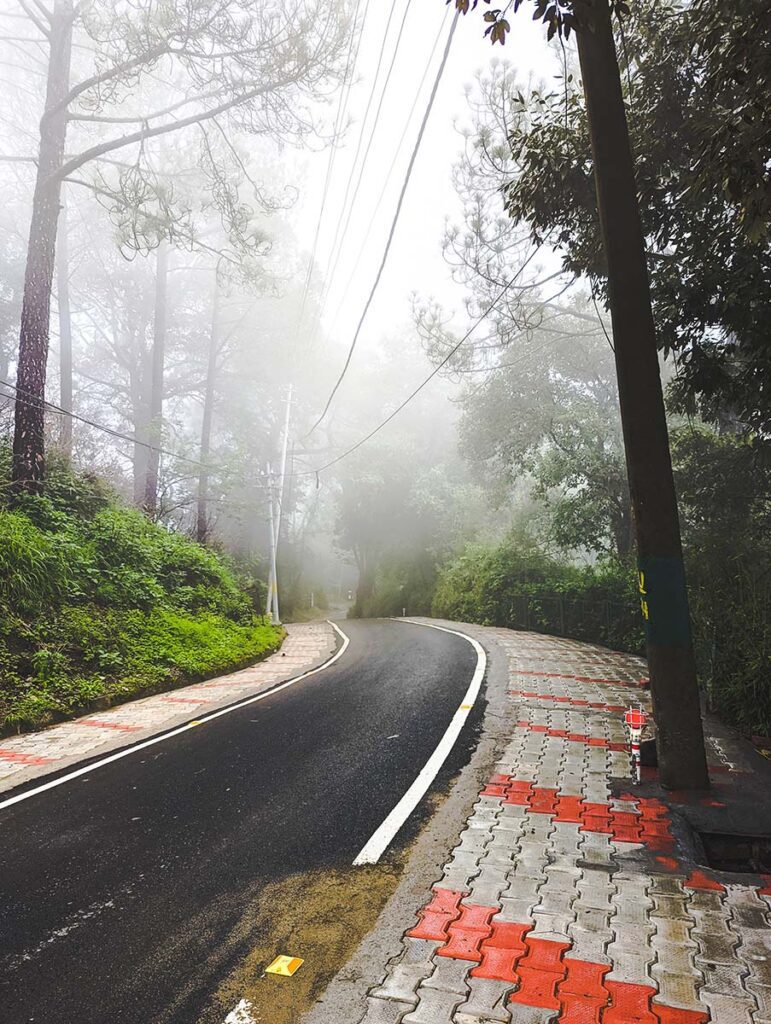 things to do in kasauli - gilbert trail