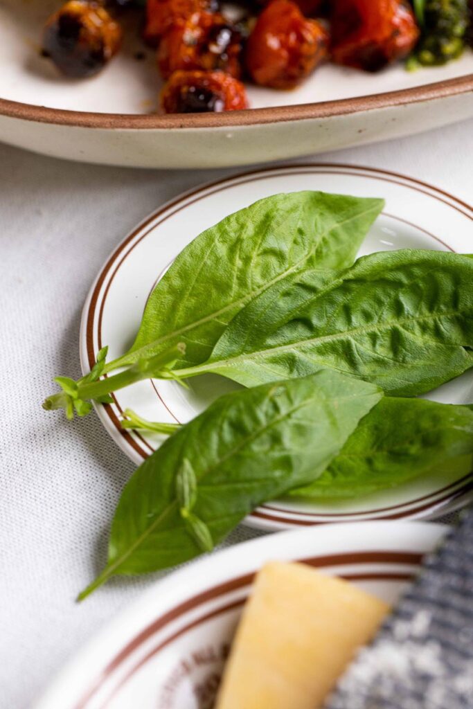 fresh basil leaves