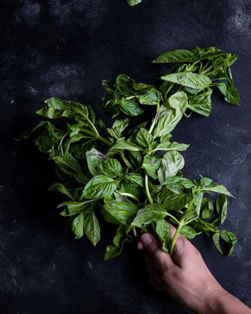 fresh basil leaves